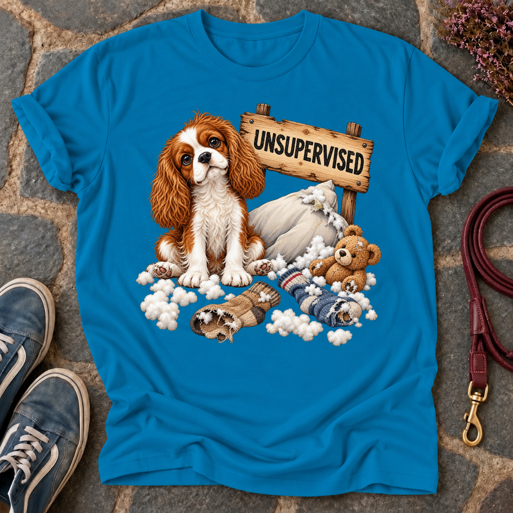Unsupervised T-Shirt