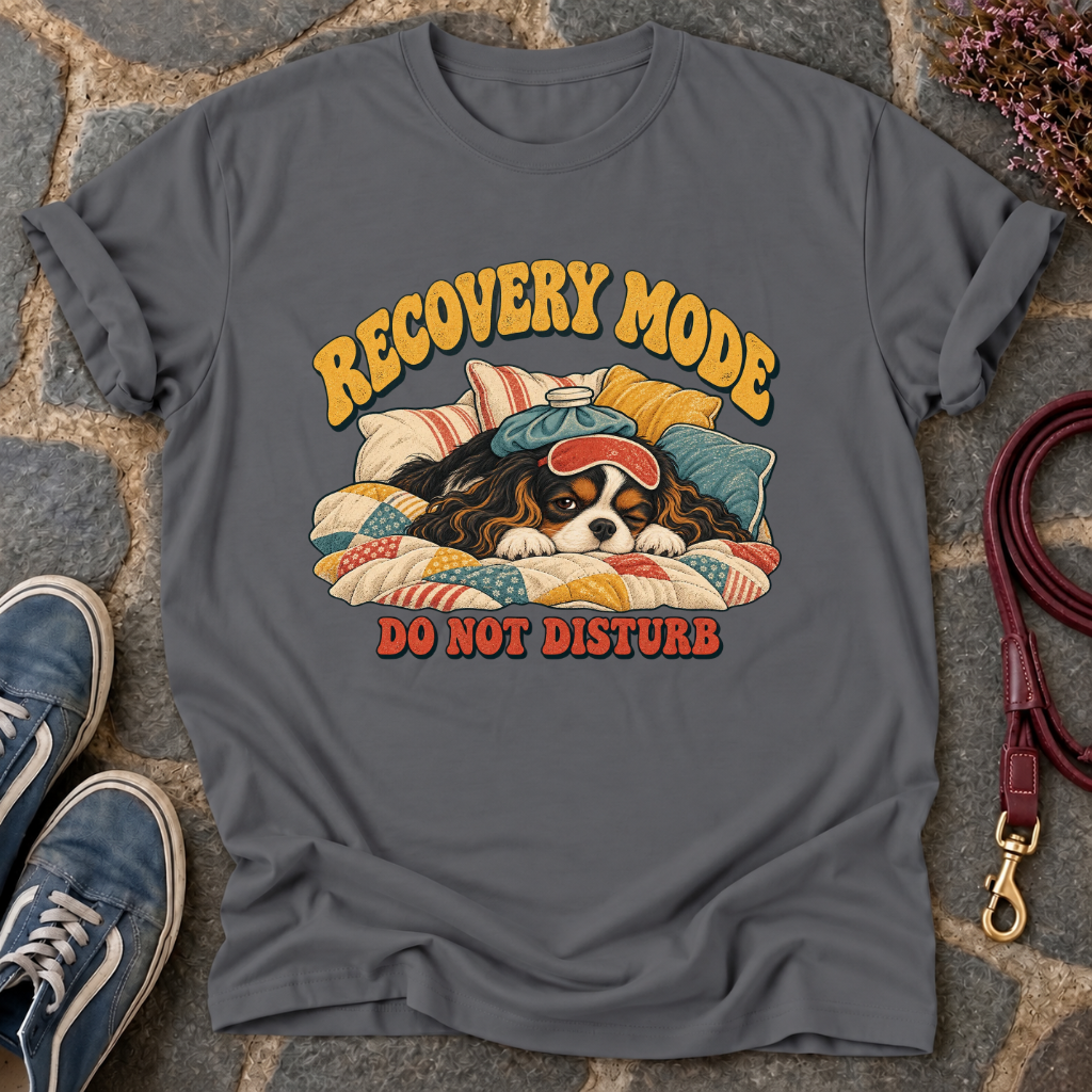 Recovery Mode T-Shirt
