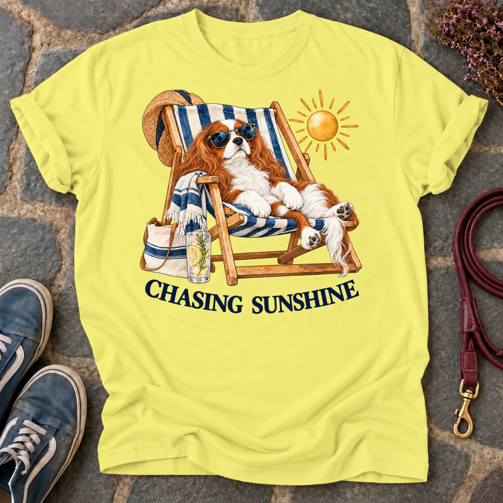 Chasing Sunshine T-Shirt