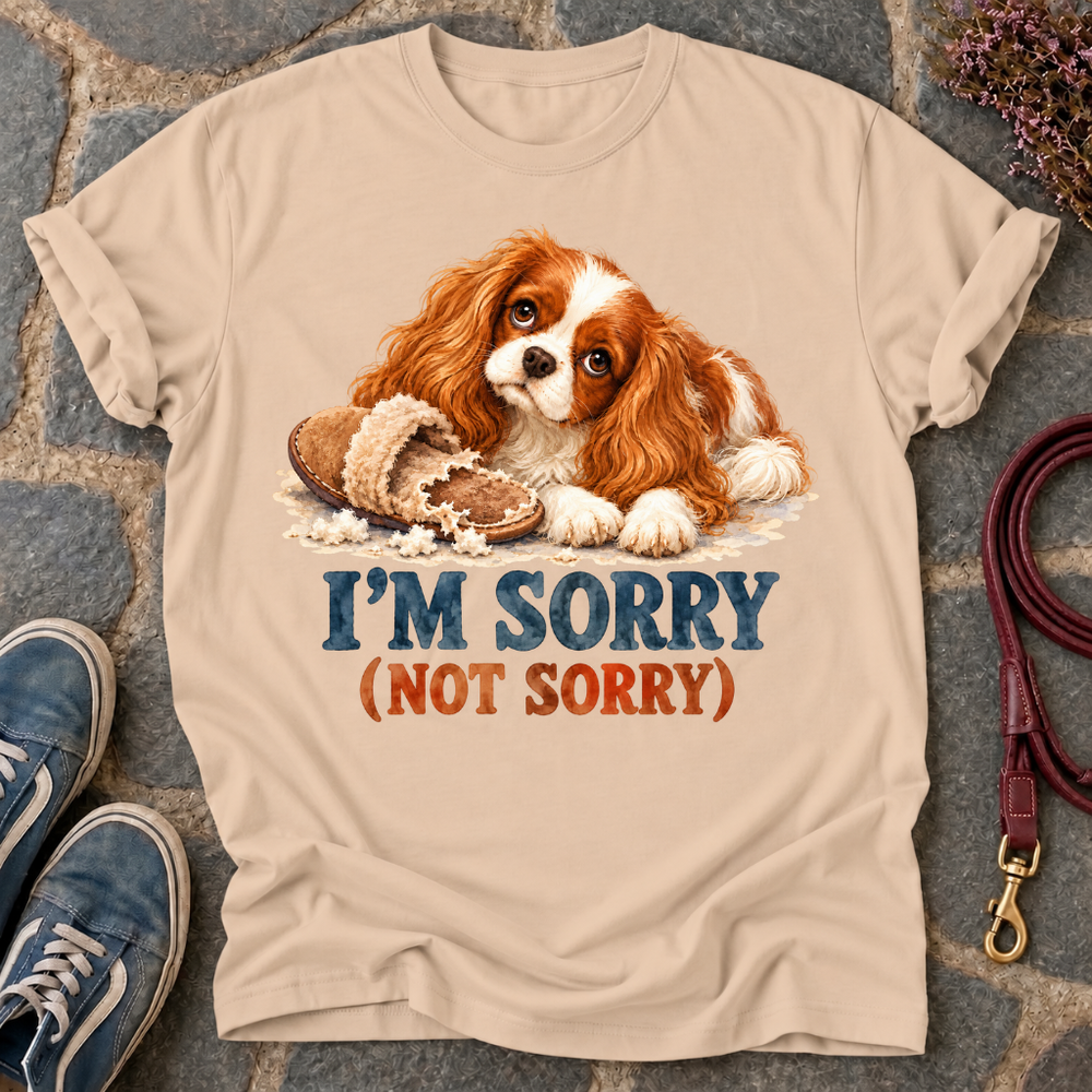 Sorry Not Sorry T-Shirt